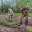 Сад Памяти: Вместе создаем будущее! 0